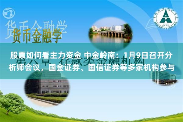 股票如何看主力资金 中金岭南：1月9日召开分析师会议，国金证券、国信证券等多家机构参与