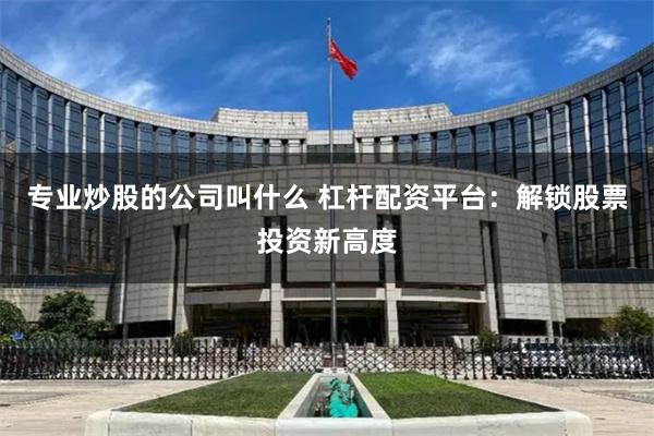 专业炒股的公司叫什么 杠杆配资平台：解锁股票投资新高度